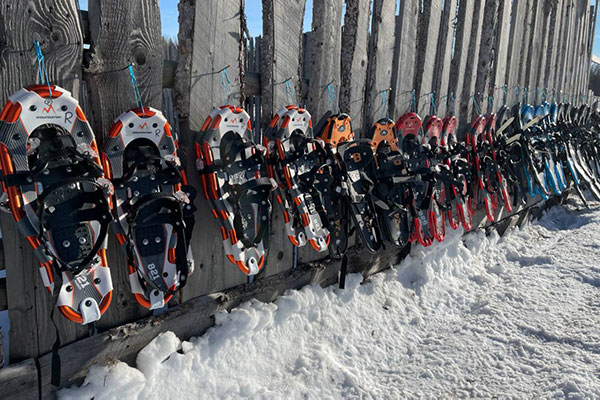 snowshoeing events and outings in alberta